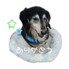 konatsu_20210513194127
