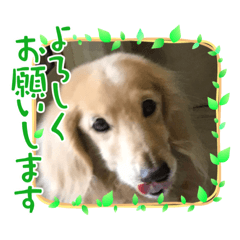 kenshin_20210513194720