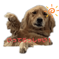 wancan_20210513195434