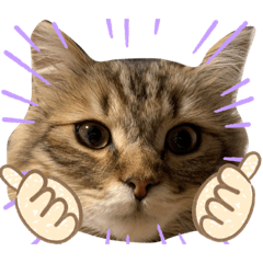 TOMOMI_20210513230652