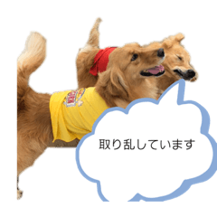 wancan_20210513231052