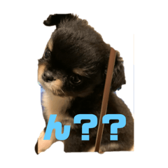 himawari_20210514060911