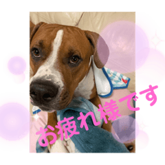 LEON_20210513192829