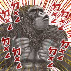 silverback gorilla BIG