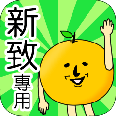【新致】專用 名字貼圖 橘子