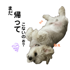 ayumi_20210513205437