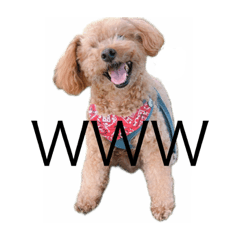 asuka_20210513210834