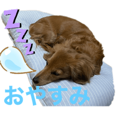 rei_20210513213615