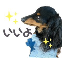 naho_20210513213746