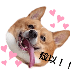 阿某表情包之亂。