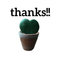 yingying_20210513142123