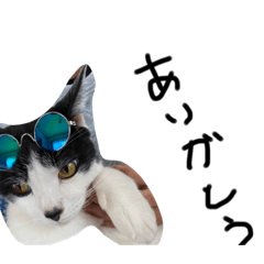 nanami_20210514123624