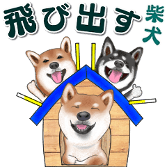 飛び出す柴犬 敬語編 Line スタンプ Line Store 飛び出す柴犬 敬語編 Line スタンプ Line Store