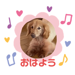maichi_20210513224059