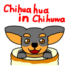 Chihuahua in Chikuwa English ver.