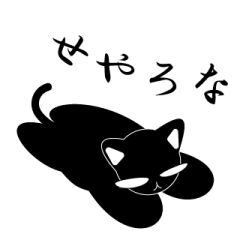 Sticky black cat