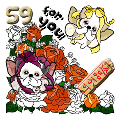 シーズー犬59『薔薇の妖精かな？』