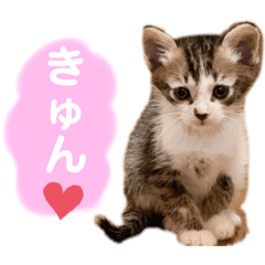 MIZUKI_20210514112433