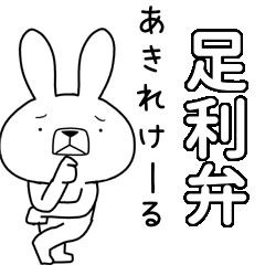 BIG Dialect rabbit[ashikaga]
