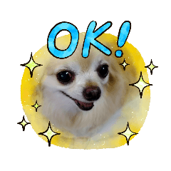 Mina_20210513234404Haru sticker