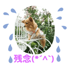 yukari_20210514144750