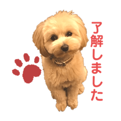 hana_20210514012826