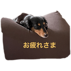 icchan_20210514151216