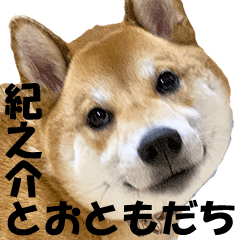 Kinosuke And Good Friends Line Stickers Line Store Kinosuke And Good Friends Line Stickers Line Store