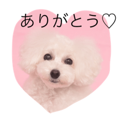 fururu's stamp