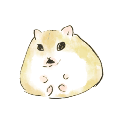 Pudding hamster boy