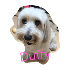 I'm Duffy