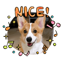 Siduki_20210514150656