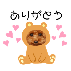 saori_20210513232537