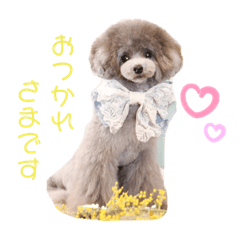 chihiro_20210514174109