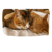 sleepy....