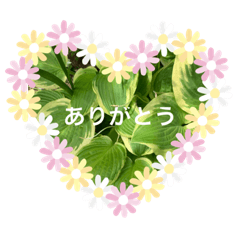 ayumi_20210514114749