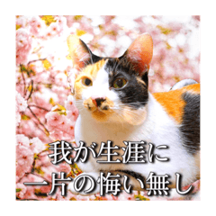 Mizuki_20210514173048