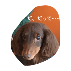 MynameisPonko2