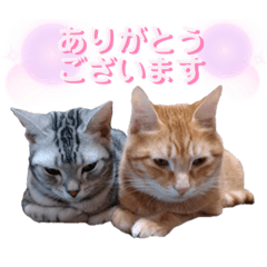 YAMADA_20210514194550