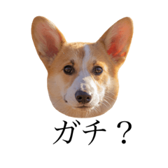 mizuki_20210514202430