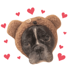 raizooo