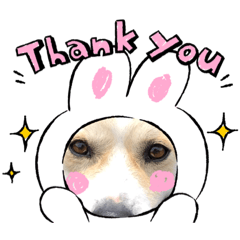 tomomi_20210515001152