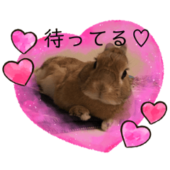 hana_20210515003214