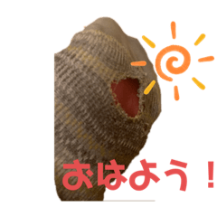 rei_20210515013835