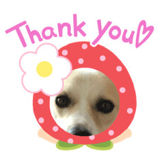 tomomi_20210515071625