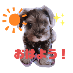 ayumi_20210515082016