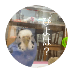 Emily_20210515093820