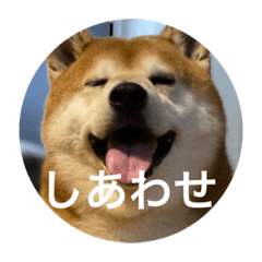 natsume0703