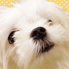 I am AZU