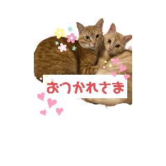 Ran&ponpon